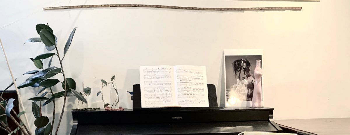 Three images capturing the staging elements of the series: Each image in the series is staged in the same location in their rented house: against their piano, with a collection of measuring sticks nailed haphazardly to the wall behind and a dining room table pushed to the wall, piled with everyday life. Each picture depicts T.L. & Jas wearing their at-home footwear of choice: black sliders for Jas, and tan sheepskin slippers for TL. Items of their lives grace the background: cat dishes, a thousand piece puzzle they’ve been working on, and the rubber tree plant that reaches ever closer to their window throughout the series; mirroring our movement toward hope amid global despair.