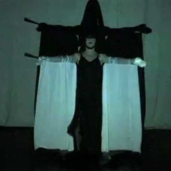 Still image captured from a performance of the 2boys.tv cabaret performance "Casta Diva".  A female figure, cloaked in long black dress and with a tall black hat and veil, stands at the centre of the stage with their arms outstretched to the sides.  Long white sleeves the length of their arms flow to the floor. Behind the figure their shadow looms large.