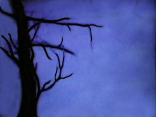Image from video documentation of Casta Diva, created by 2boys.tv. Abstract image of tree in shadow on a blue background.